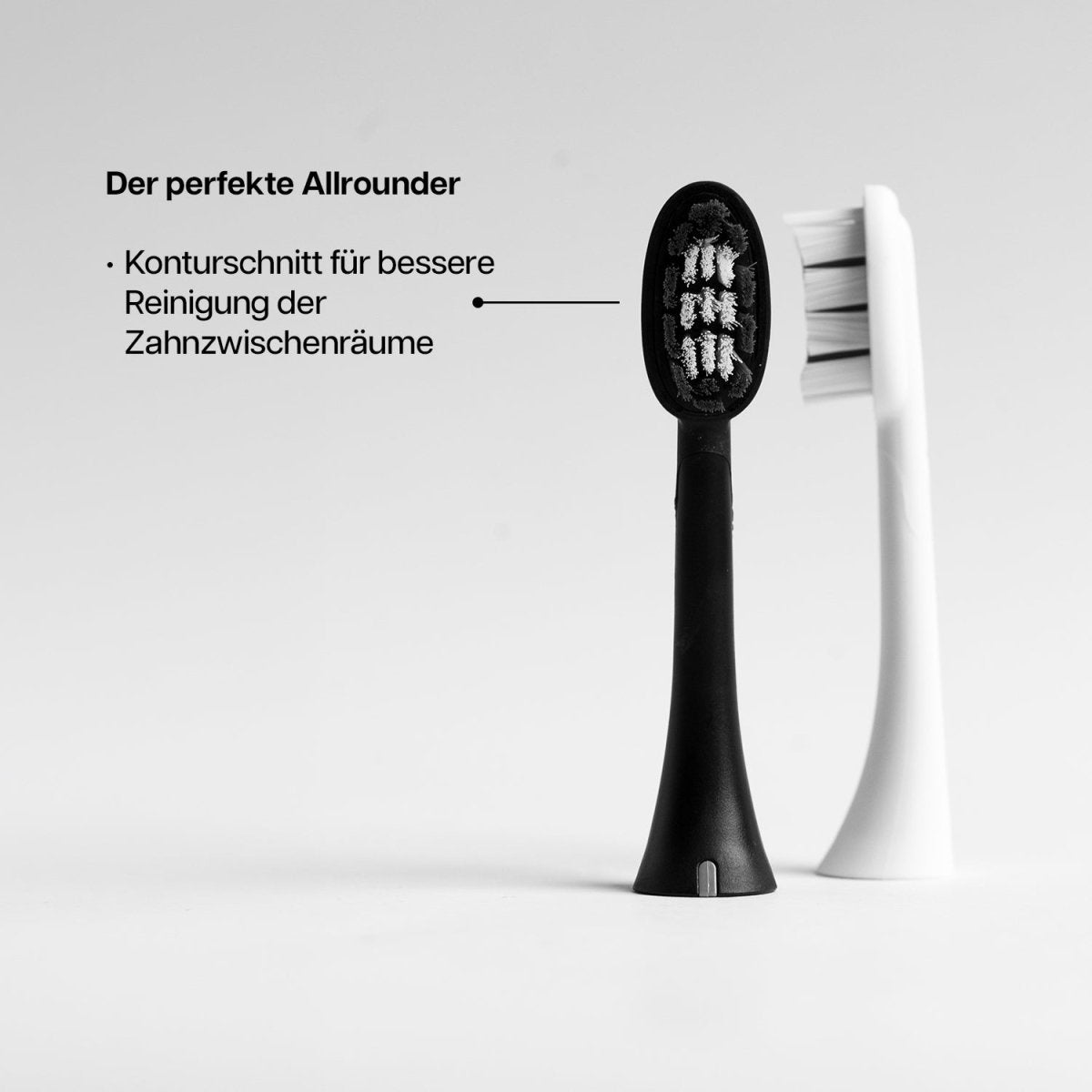 Bürstenkopf Basic Medium