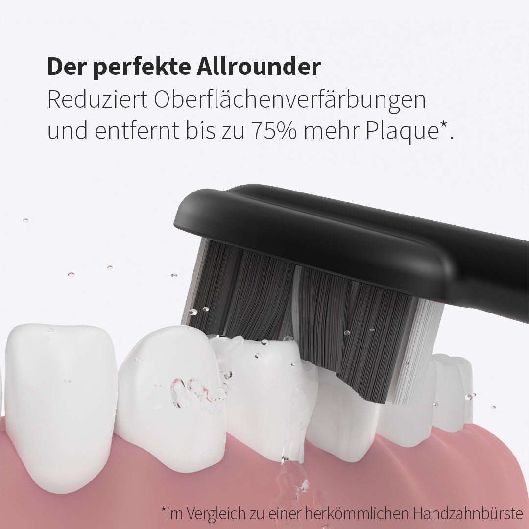 Bürstenkopf Basic Medium