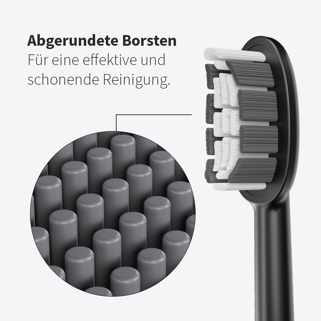 Bürstenkopf Basic Medium