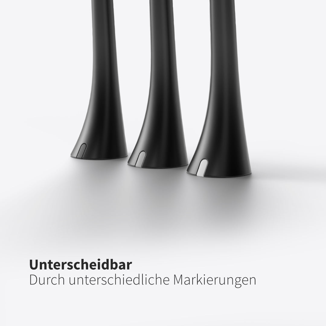 Bürstenkopf Basic Medium