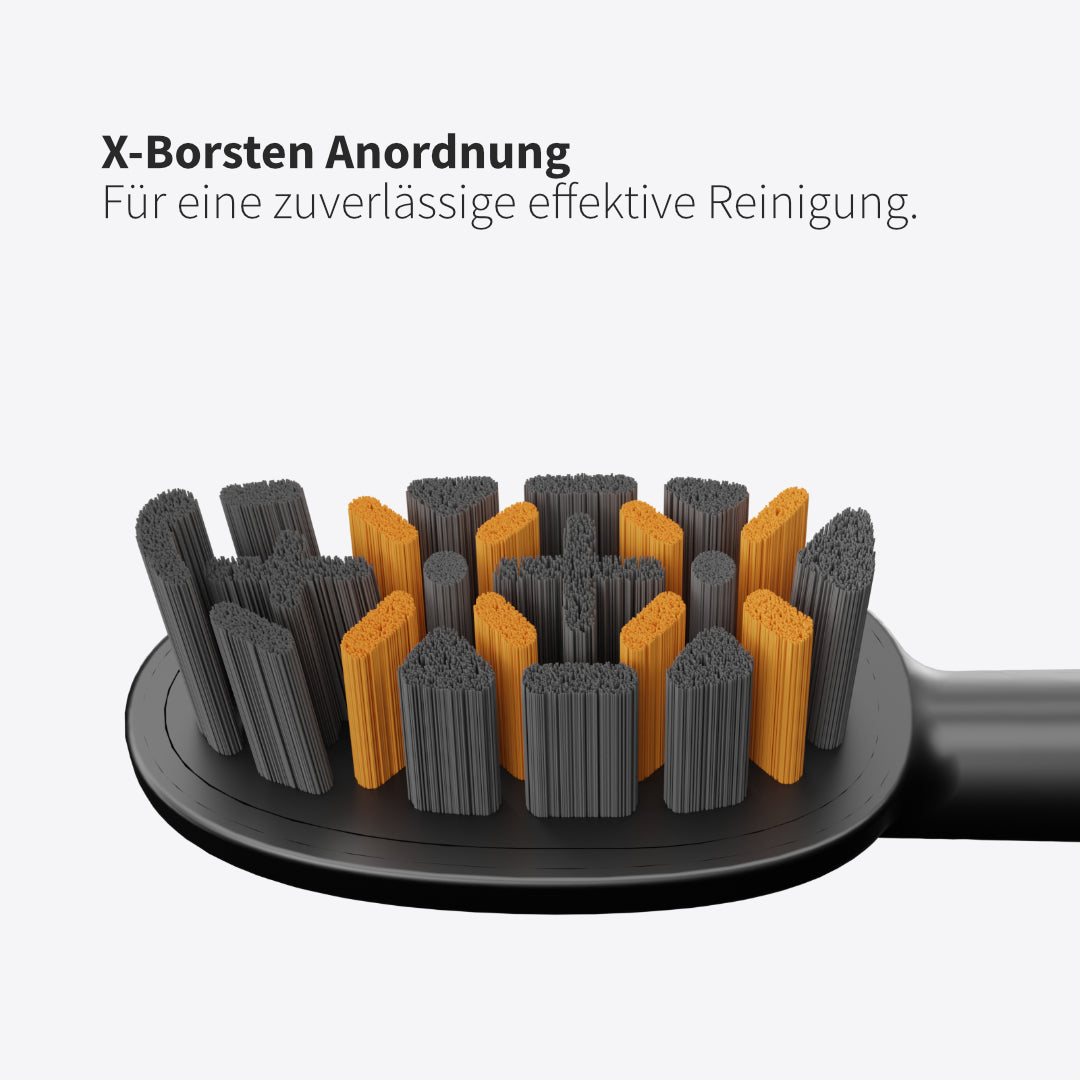 Bürstenkopf Pro X-Clean