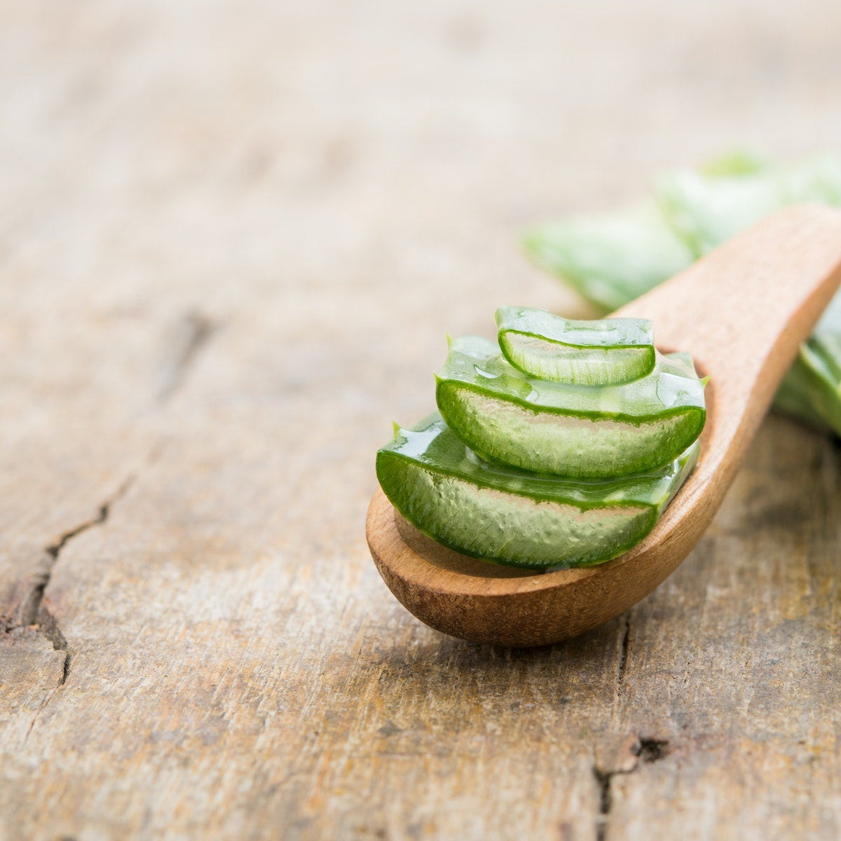 Aloe Vera fr einen gesunden Mundraum  Zahnheld