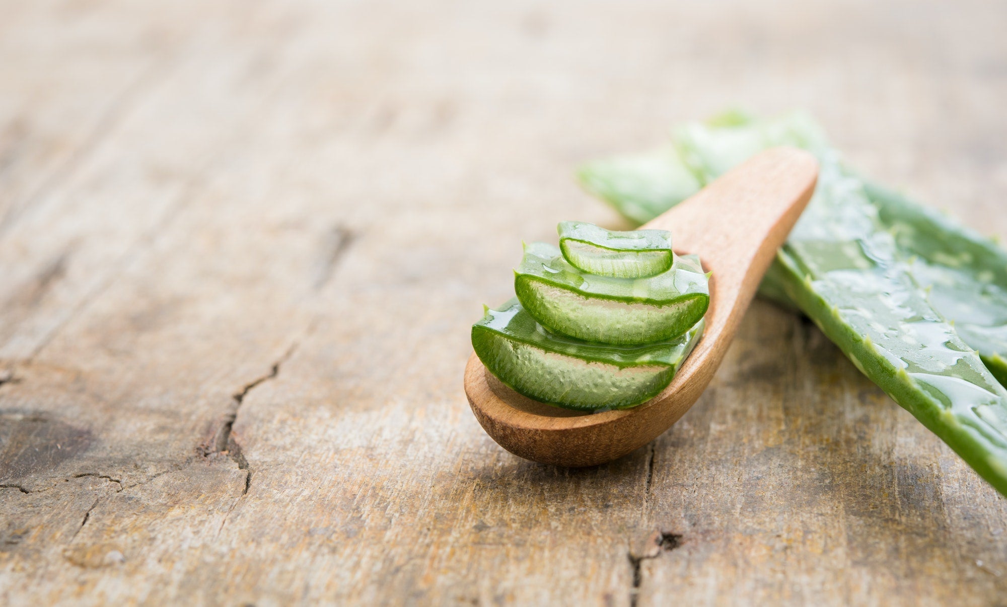 Aloe Vera für einen gesunden Mundraum